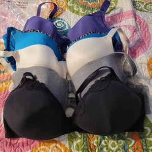 Set of 5 Pushup Colorful Bras 40-42dd